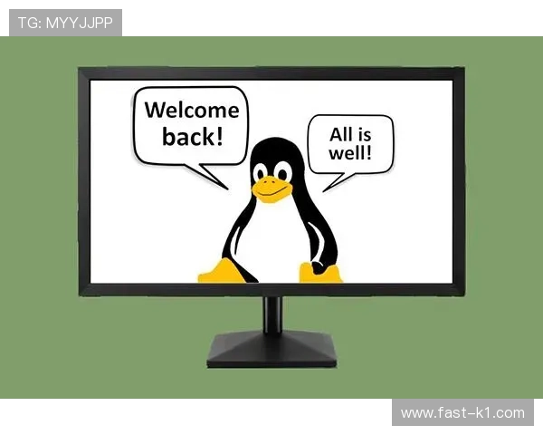 中断规则：哪些情况必须暂停比赛，如何判定与重启